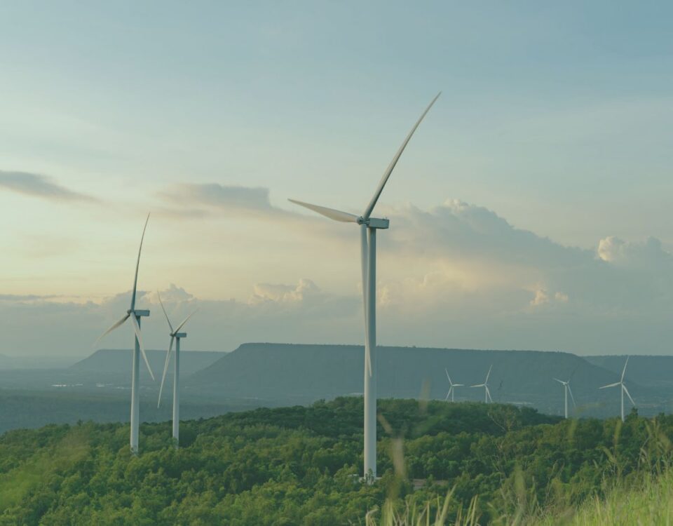 Wind turbines generate renewable energy atop a forested ridgeline, with multiple utility-scale wind turbines visible against a cloudy sky and distant hills. The wind farm highlights sustainable power generation and renewable energy infrastructure.